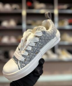 Alternative view of DR # Adidași