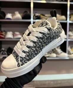 Alternative view of DR # Adidași