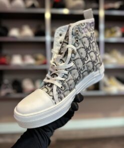 Alternative view of DR # Adidași