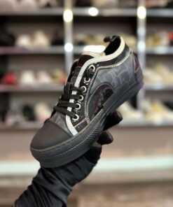 Alternative view of DR # Adidași