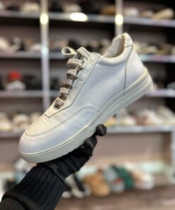 Alternative view of Adidași Giv #