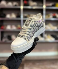 Alternative view of DR # Adidași